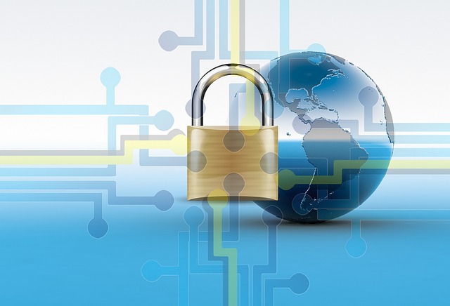 Secure data network globe
